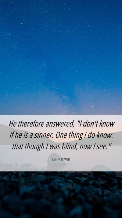 Picture 06 - John 9:25 WEB Mobile Phone Wallpaper - He therefore answered, 