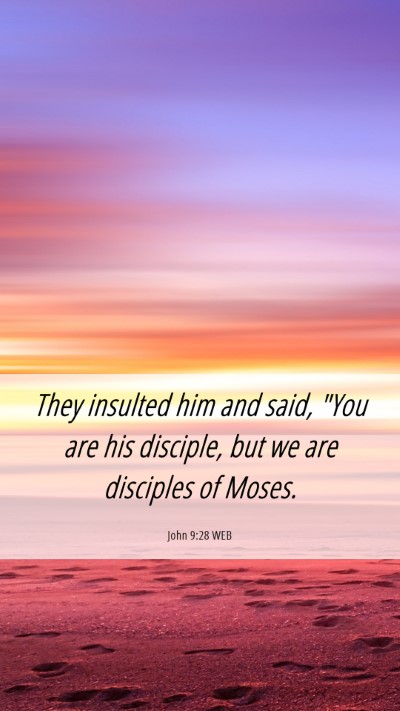 Picture 06 - John 9:28 WEB Mobile Phone Wallpaper - They insulted him and said, 