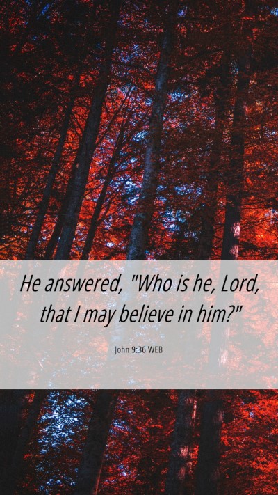 Picture 06 - John 9:36 WEB Mobile Phone Wallpaper - He answered, 