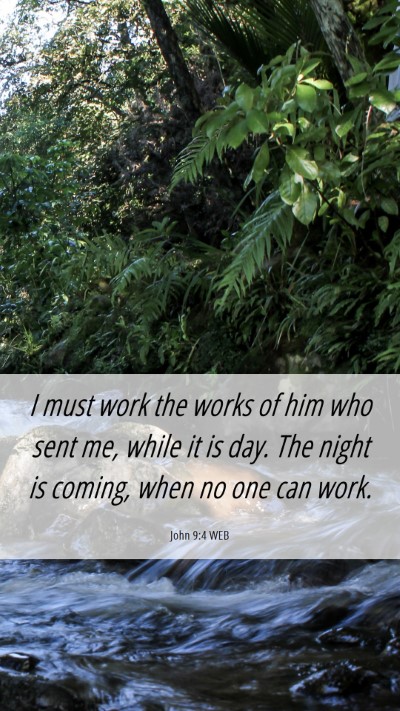 Picture 06 - John 9:4 WEB Mobile Phone Wallpaper - I must work the works of him who sent me, while - Mobile Bible Verse Wallpaper