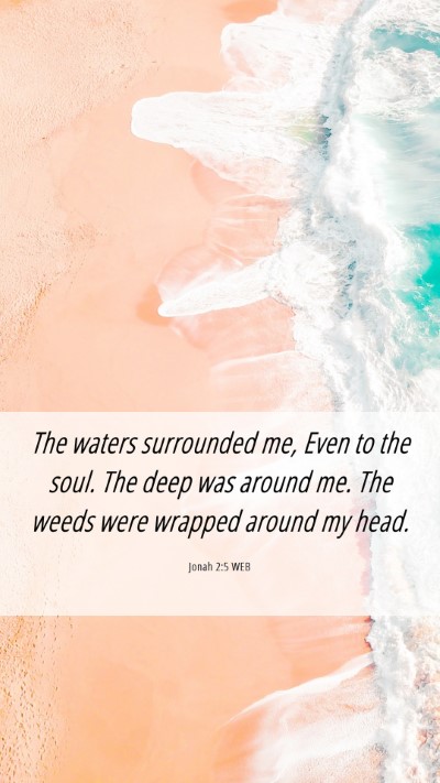 Picture 06 - Jonah 2:5 WEB Mobile Phone Wallpaper - The waters surrounded me, Even to the soul. The - Mobile Bible Verse Wallpaper