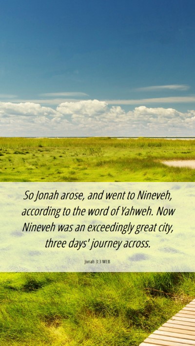 Picture 06 - Jonah 3:3 WEB Mobile Phone Wallpaper - So Jonah arose, and went to Nineveh, according to - Mobile Bible Verse Wallpaper