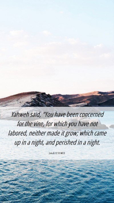 Picture 06 - Jonah 4:10 WEB Mobile Phone Wallpaper - Yahweh said, 