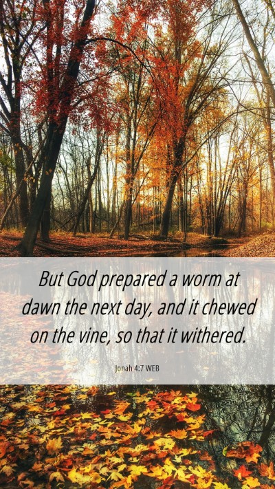 Picture 06 - Jonah 4:7 WEB Mobile Phone Wallpaper - But God prepared a worm at dawn the next day, and - Mobile Bible Verse Wallpaper