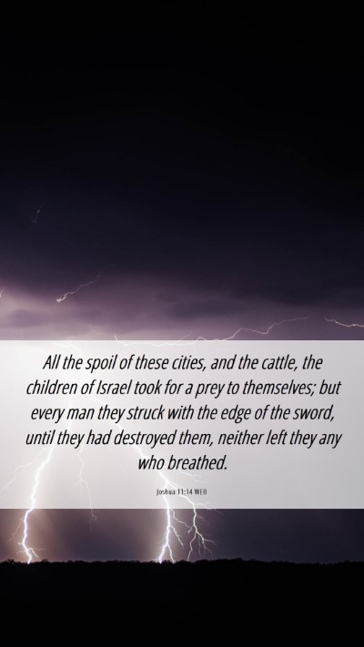 Picture 06 - Joshua 11:14 WEB Mobile Phone Wallpaper - All the spoil of these cities, and the cattle, - Mobile Bible Verse Wallpaper