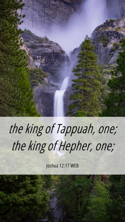 Picture 06 - Joshua 12:17 WEB Mobile Phone Wallpaper - the king of Tappuah, one; the king of Hepher, - Mobile Bible Verse Wallpaper