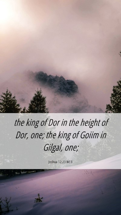 Picture 06 - Joshua 12:23 WEB Mobile Phone Wallpaper - the king of Dor in the height of Dor, one; the - Mobile Bible Verse Wallpaper