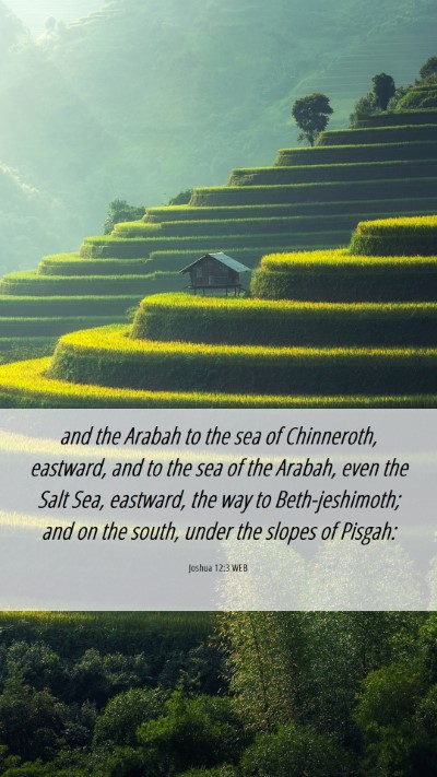 Picture 06 - Joshua 12:3 WEB Mobile Phone Wallpaper - and the Arabah to the sea of Chinneroth, - Mobile Bible Verse Wallpaper