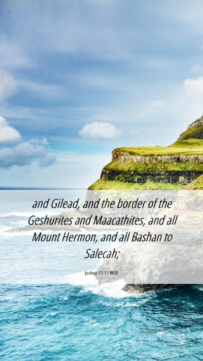 Picture 06 - Joshua 13:11 WEB Mobile Phone Wallpaper - and Gilead, and the border of the Geshurites and - Mobile Bible Verse Wallpaper