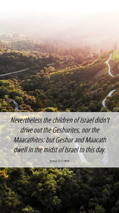 Picture 06 - Joshua 13:13 WEB Mobile Phone Wallpaper - Nevertheless the children of Israel didn't drive - Mobile Bible Verse Wallpaper