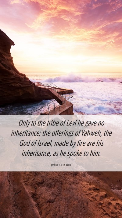Picture 06 - Joshua 13:14 WEB Mobile Phone Wallpaper - Only to the tribe of Levi he gave no inheritance; - Mobile Bible Verse Wallpaper