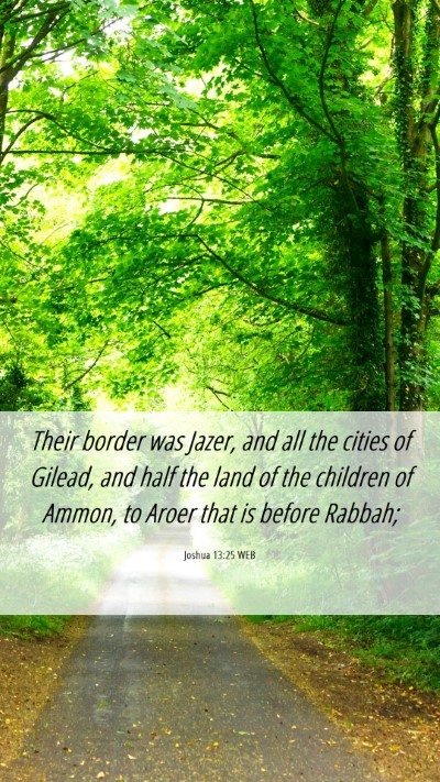 Picture 06 - Joshua 13:25 WEB Mobile Phone Wallpaper - Their border was Jazer, and all the cities of - Mobile Bible Verse Wallpaper