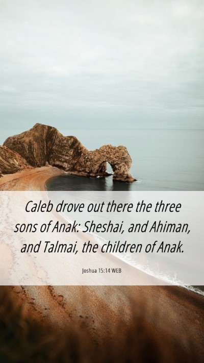 Picture 06 - Joshua 15:14 WEB Mobile Phone Wallpaper - Caleb drove out there the three sons of Anak: - Mobile Bible Verse Wallpaper