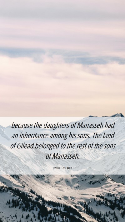 Picture 06 - Joshua 17:6 WEB Mobile Phone Wallpaper - because the daughters of Manasseh had an - Mobile Bible Verse Wallpaper