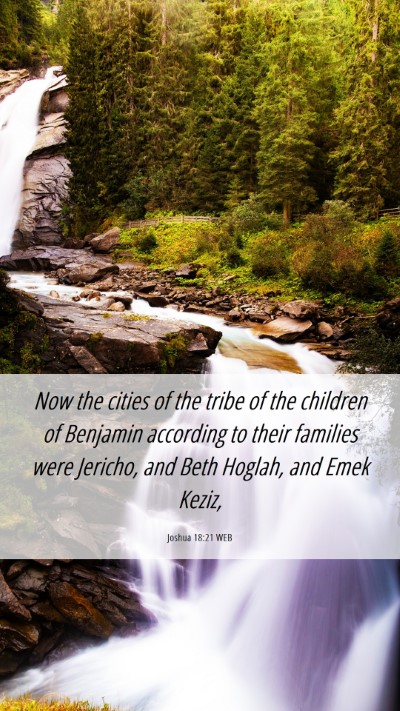 Picture 06 - Joshua 18:21 WEB Mobile Phone Wallpaper - Now the cities of the tribe of the children of - Mobile Bible Verse Wallpaper