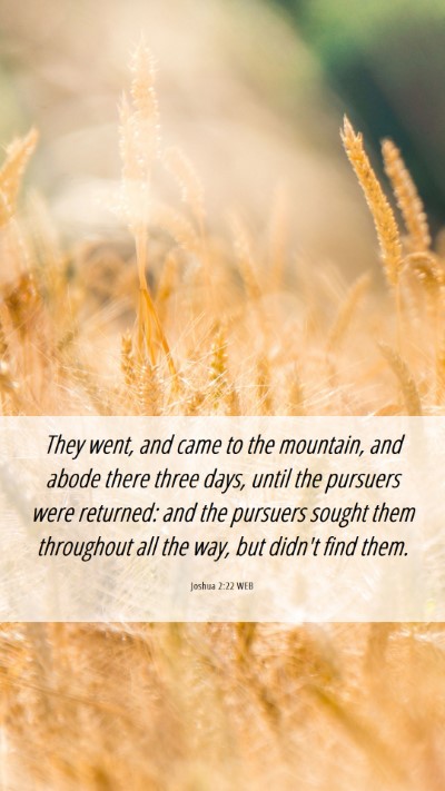 Picture 06 - Joshua 2:22 WEB Mobile Phone Wallpaper - They went, and came to the mountain, and abode - Mobile Bible Verse Wallpaper