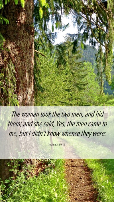 Picture 06 - Joshua 2:4 WEB Mobile Phone Wallpaper - The woman took the two men, and hid them; and she - Mobile Bible Verse Wallpaper