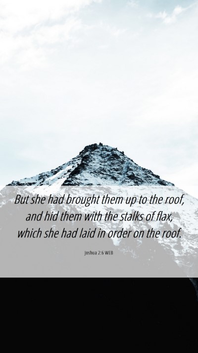 Picture 06 - Joshua 2:6 WEB Mobile Phone Wallpaper - But she had brought them up to the roof, and hid - Mobile Bible Verse Wallpaper