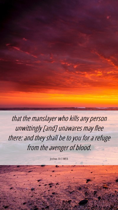 Picture 06 - Joshua 20:3 WEB Mobile Phone Wallpaper - that the manslayer who kills any person - Mobile Bible Verse Wallpaper