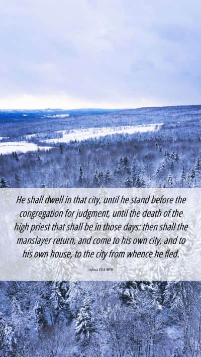 Picture 06 - Joshua 20:6 WEB Mobile Phone Wallpaper - He shall dwell in that city, until he stand - Mobile Bible Verse Wallpaper