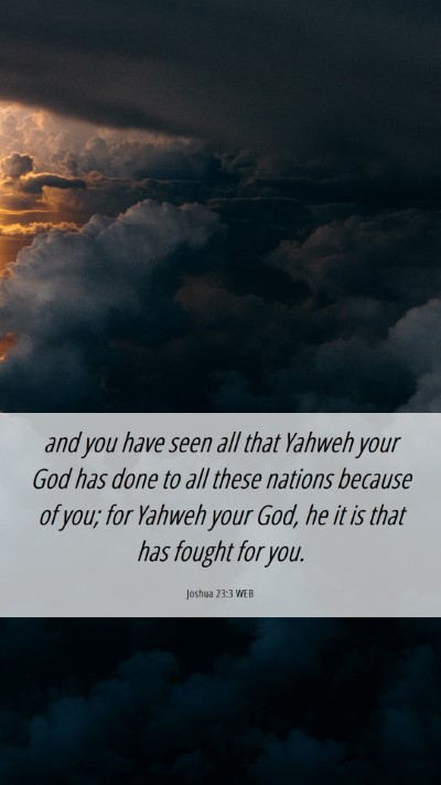 Picture 06 - Joshua 23:3 WEB Mobile Phone Wallpaper - and you have seen all that Yahweh your God has - Mobile Bible Verse Wallpaper