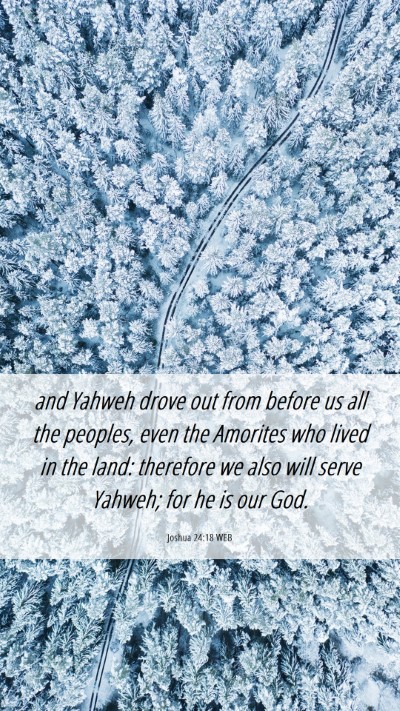 Picture 06 - Joshua 24:18 WEB Mobile Phone Wallpaper - and Yahweh drove out from before us all the - Mobile Bible Verse Wallpaper