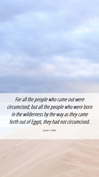 Picture 06 - Joshua 5:5 WEB Mobile Phone Wallpaper - For all the people who came out were circumcised; - Mobile Bible Verse Wallpaper