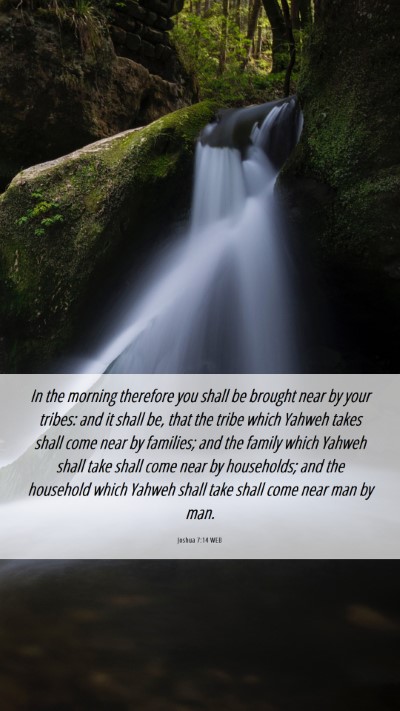 Picture 06 - Joshua 7:14 WEB Mobile Phone Wallpaper - In the morning therefore you shall be brought - Mobile Bible Verse Wallpaper