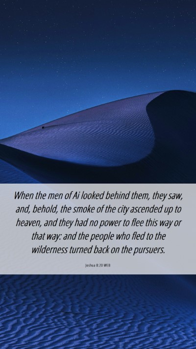 Picture 06 - Joshua 8:20 WEB Mobile Phone Wallpaper - When the men of Ai looked behind them, they saw, - Mobile Bible Verse Wallpaper