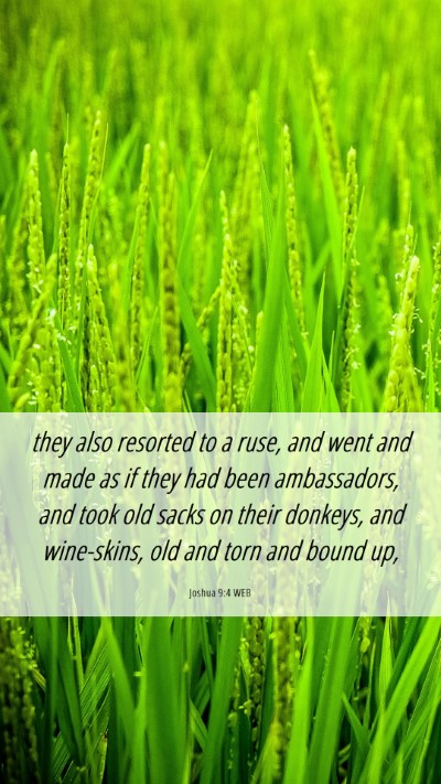Picture 06 - Joshua 9:4 WEB Mobile Phone Wallpaper - they also resorted to a ruse, and went and made - Mobile Bible Verse Wallpaper