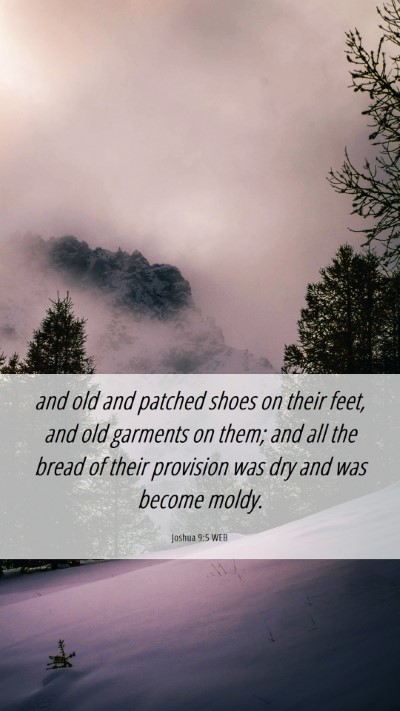 Picture 06 - Joshua 9:5 WEB Mobile Phone Wallpaper - and old and patched shoes on their feet, and old - Mobile Bible Verse Wallpaper