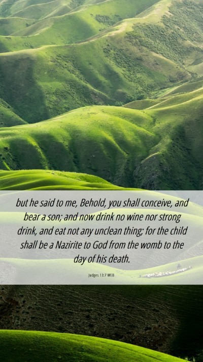 Picture 06 - Judges 13:7 WEB Mobile Phone Wallpaper - but he said to me, Behold, you shall conceive, - Mobile Bible Verse Wallpaper