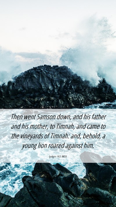Picture 06 - Judges 14:5 WEB Mobile Phone Wallpaper - Then went Samson down, and his father and his - Mobile Bible Verse Wallpaper