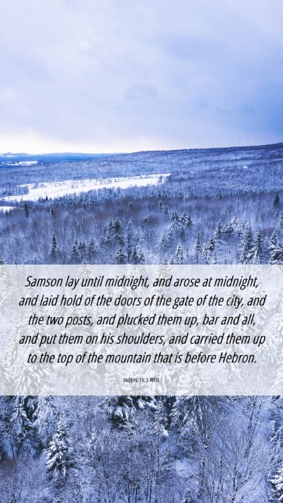 Picture 06 - Judges 16:3 WEB Mobile Phone Wallpaper - Samson lay until midnight, and arose at midnight, - Mobile Bible Verse Wallpaper