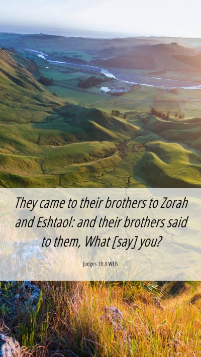 Picture 06 - Judges 18:8 WEB Mobile Phone Wallpaper - They came to their brothers to Zorah and Eshtaol: - Mobile Bible Verse Wallpaper