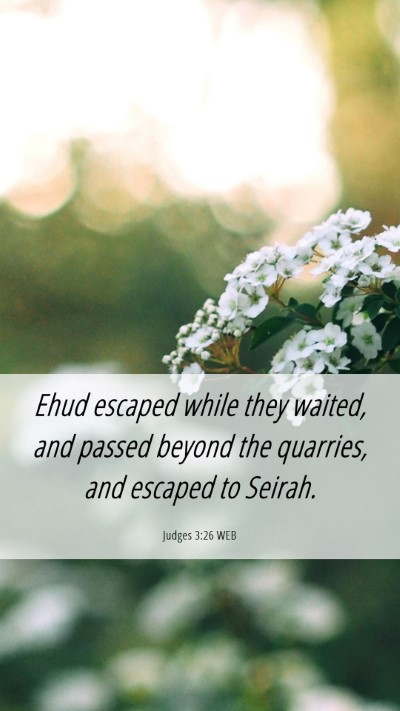 Picture 06 - Judges 3:26 WEB Mobile Phone Wallpaper - Ehud escaped while they waited, and passed beyond - Mobile Bible Verse Wallpaper