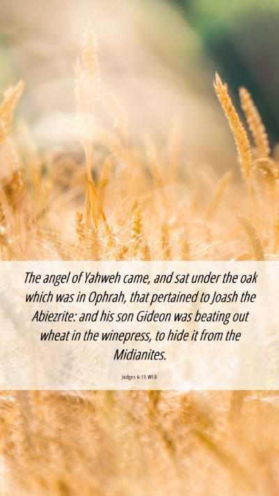 Picture 06 - Judges 6:11 WEB Mobile Phone Wallpaper - The angel of Yahweh came, and sat under the oak - Mobile Bible Verse Wallpaper