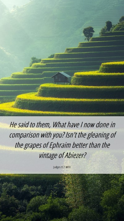 Picture 06 - Judges 8:2 WEB Mobile Phone Wallpaper - He said to them, What have I now done in - Mobile Bible Verse Wallpaper