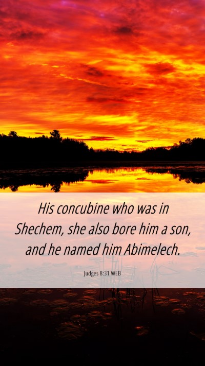 Picture 06 - Judges 8:31 WEB Mobile Phone Wallpaper - His concubine who was in Shechem, she also bore - Mobile Bible Verse Wallpaper