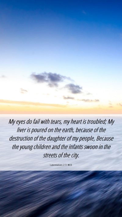 Picture 06 - Lamentations 2:11 WEB Mobile Phone Wallpaper - My eyes do fail with tears, my heart is troubled; - Mobile Bible Verse Wallpaper