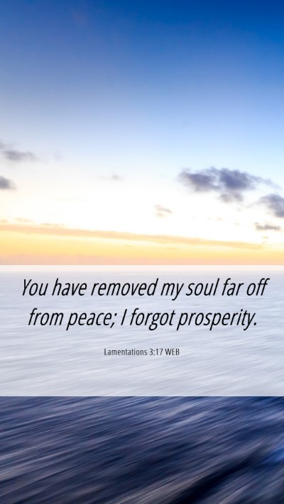 Picture 06 - Lamentations 3:17 WEB Mobile Phone Wallpaper - You have removed my soul far off from peace; I - Mobile Bible Verse Wallpaper