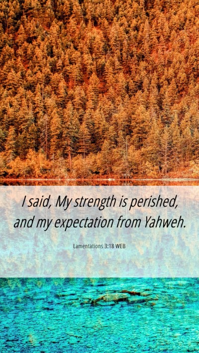 Picture 06 - Lamentations 3:18 WEB Mobile Phone Wallpaper - I said, My strength is perished, and my - Mobile Bible Verse Wallpaper