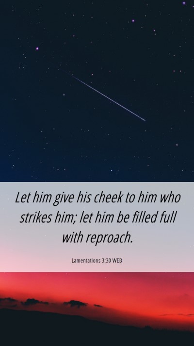Picture 06 - Lamentations 3:30 WEB Mobile Phone Wallpaper - Let him give his cheek to him who strikes him; - Mobile Bible Verse Wallpaper