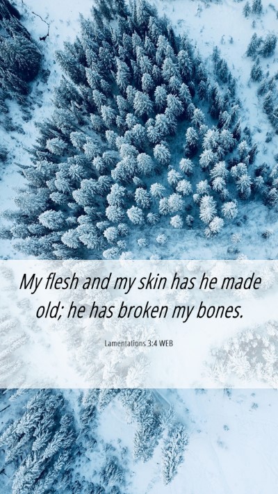 Picture 06 - Lamentations 3:4 WEB Mobile Phone Wallpaper - My flesh and my skin has he made old; he has - Mobile Bible Verse Wallpaper