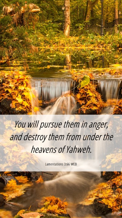 Picture 06 - Lamentations 3:66 WEB Mobile Phone Wallpaper - You will pursue them in anger, and destroy them - Mobile Bible Verse Wallpaper