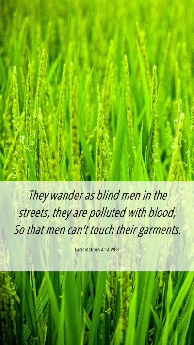 Picture 06 - Lamentations 4:14 WEB Mobile Phone Wallpaper - They wander as blind men in the streets, they are - Mobile Bible Verse Wallpaper