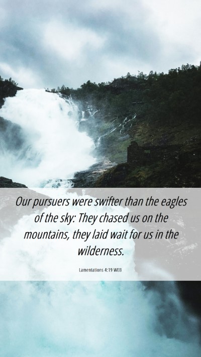 Picture 06 - Lamentations 4:19 WEB Mobile Phone Wallpaper - Our pursuers were swifter than the eagles of the - Mobile Bible Verse Wallpaper