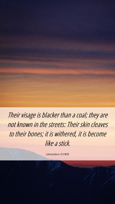 Picture 06 - Lamentations 4:8 WEB Mobile Phone Wallpaper - Their visage is blacker than a coal; they are not - Mobile Bible Verse Wallpaper