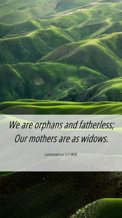 Picture 06 - Lamentations 5:3 WEB Mobile Phone Wallpaper - We are orphans and fatherless; Our mothers are as - Mobile Bible Verse Wallpaper