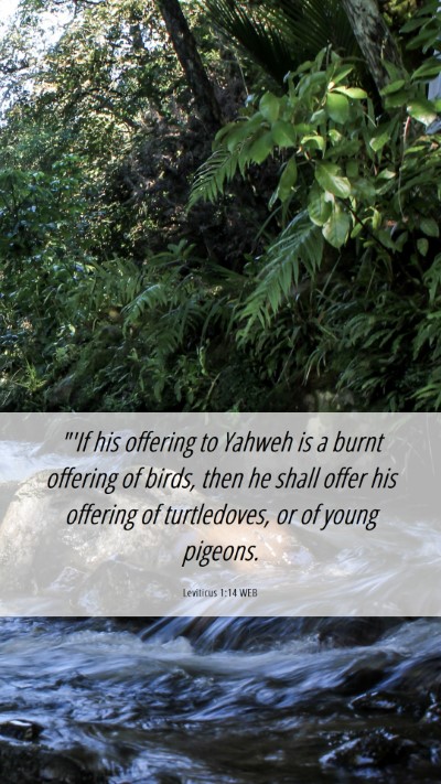 Picture 06 - Leviticus 1:14 WEB Mobile Phone Wallpaper - 